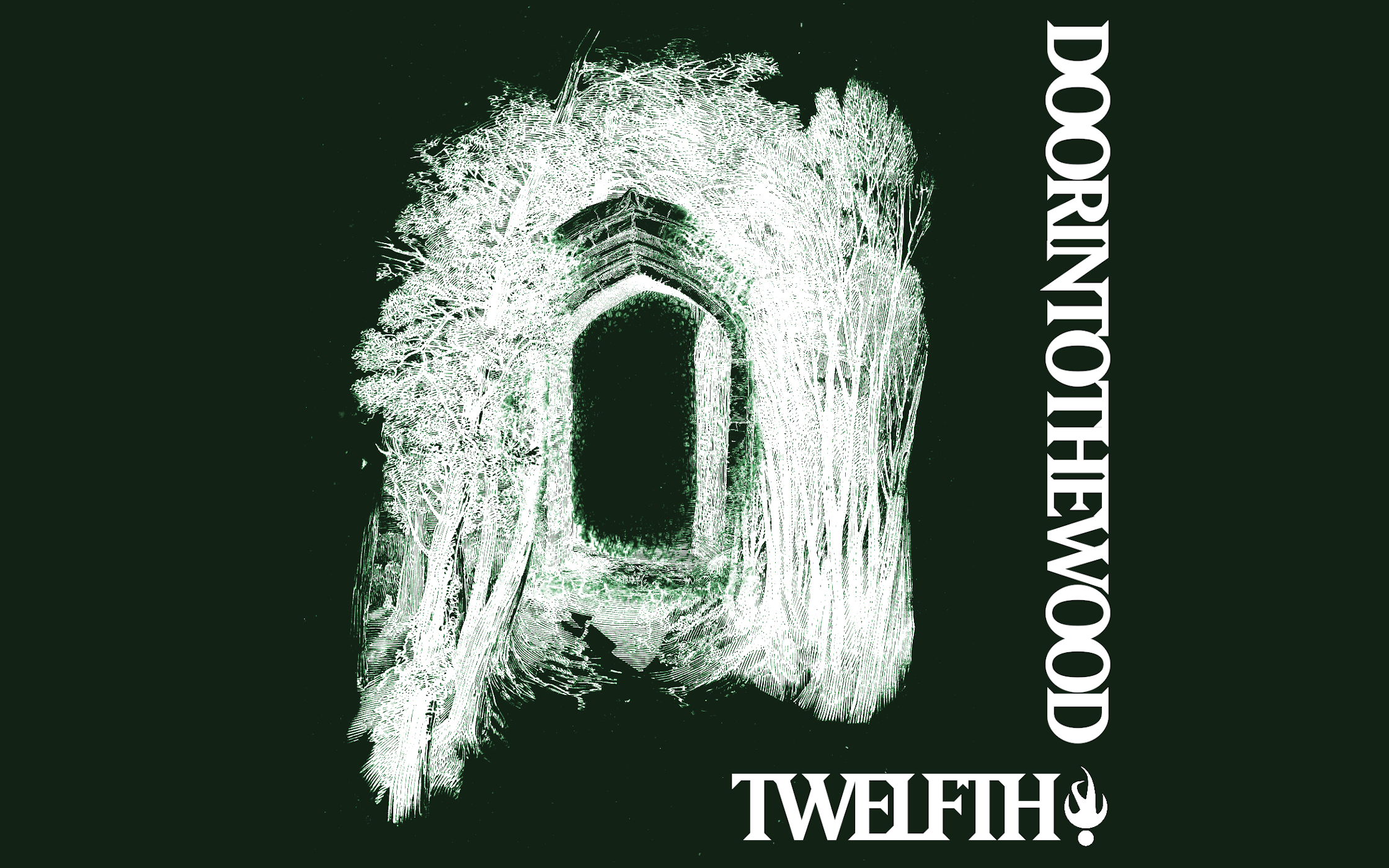 Cover image for Door Into The Wood