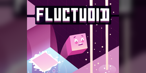 Cover image for FLUCTUOID