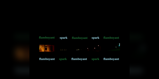 Cover image for Flamboyant Spark