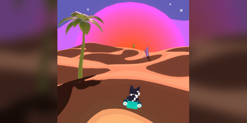 Cover image for Robin the brave desert dweller