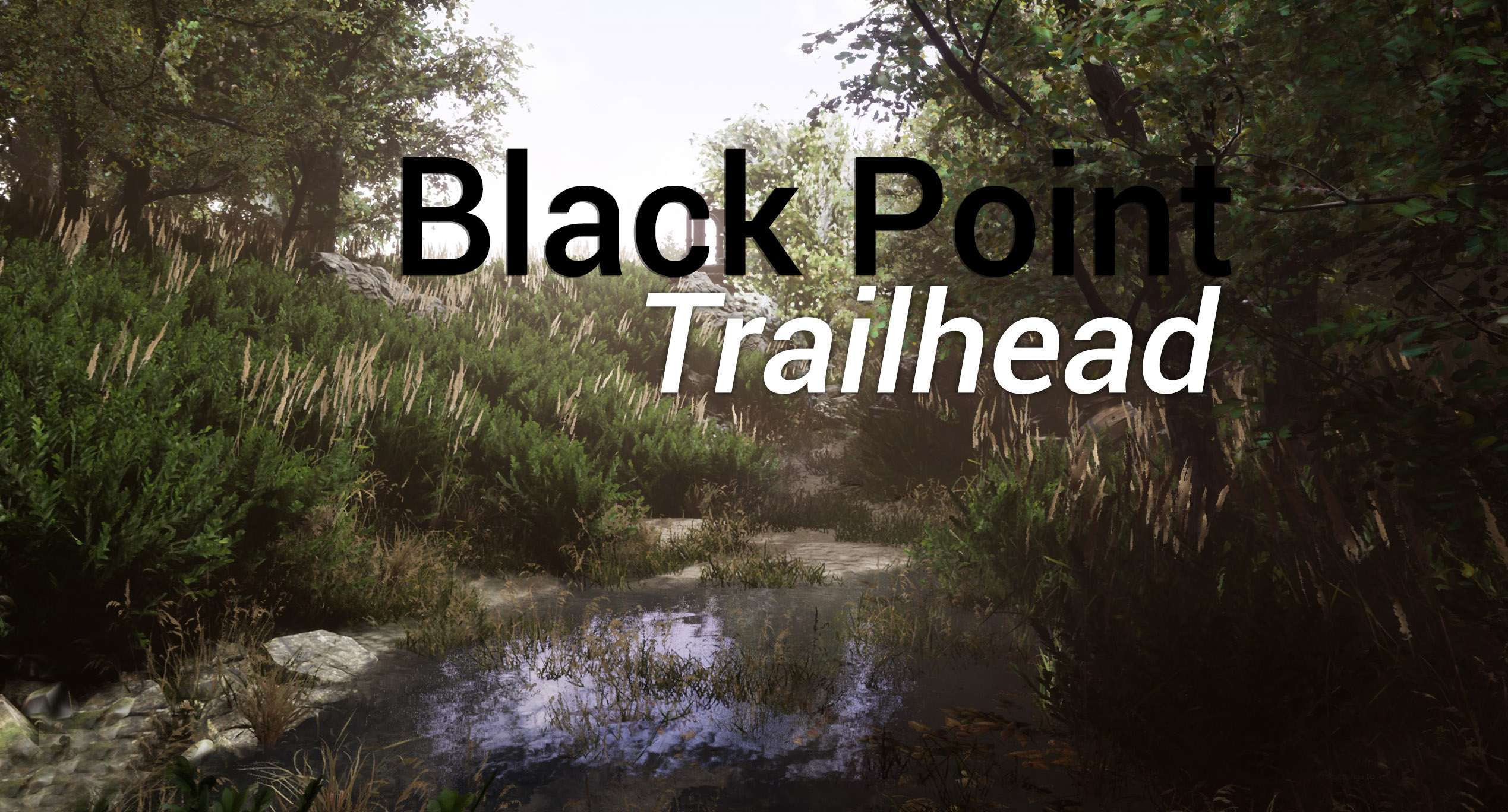 Black Point Trailhead