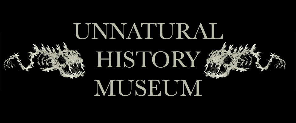 Unnatural History Museum