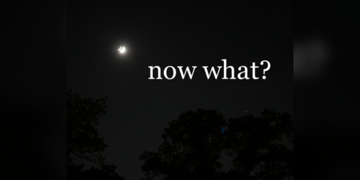 Cover image for now what?
