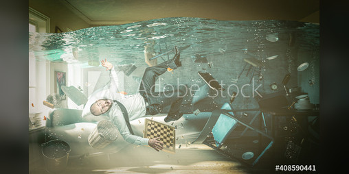 Cover image for The Memory of Goldfish