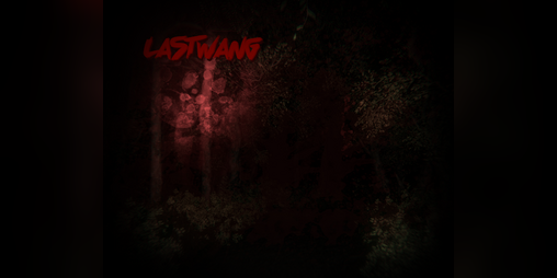 Cover image for LASTWANG