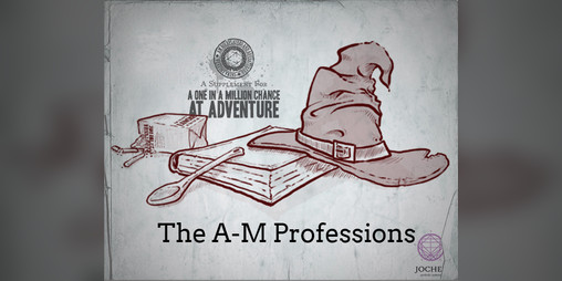 Cover image for The A-M Professions (character build guides)