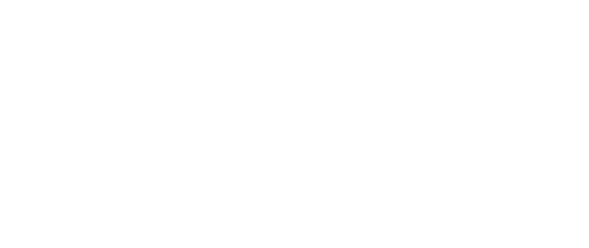 The White Rose - in Nazi Germany