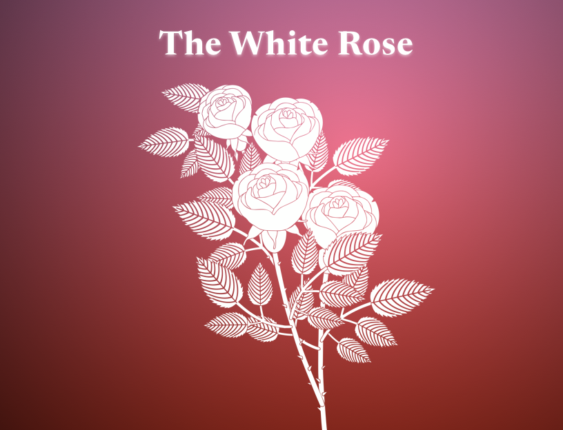 The White Rose - in Nazi Germany