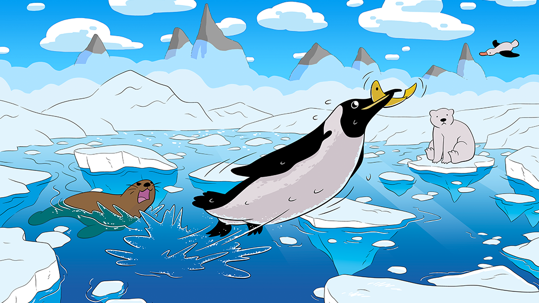 penguin eating krill