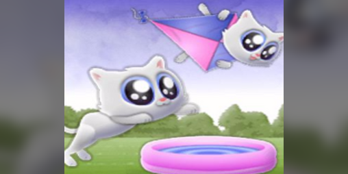 Cover image for Extreme Kitten