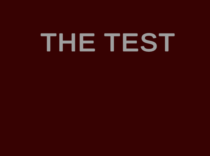 Cover image for THE TEST