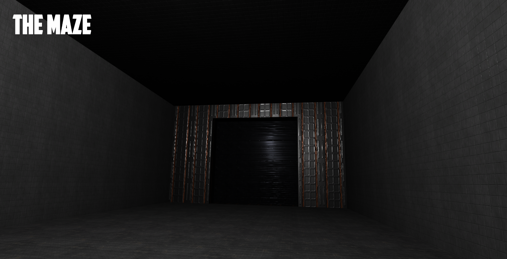 Cover image for The Maze