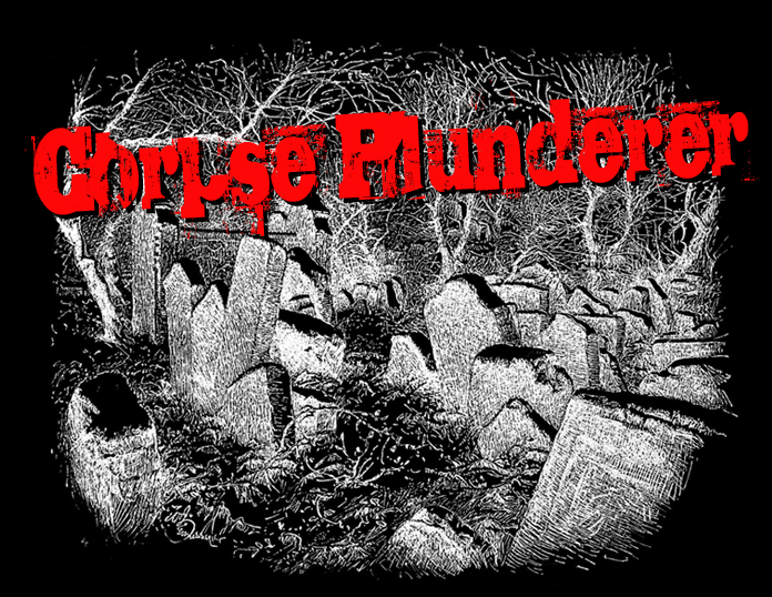 Cover image for The Corpse Plunderer