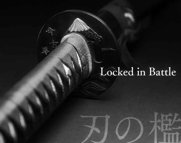 Locked in Battle by yumehiko Locked in Battle by yumehiko