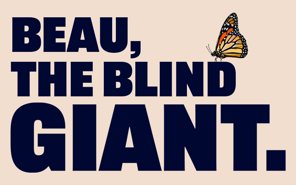 Beau, The Blind Giant