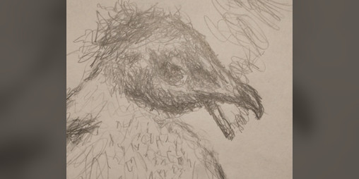 Cover image for Пингвин