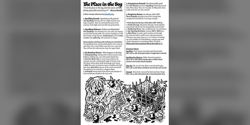 Cover image for The Place in the Bog