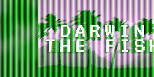 Cover image for Darwin The Fish