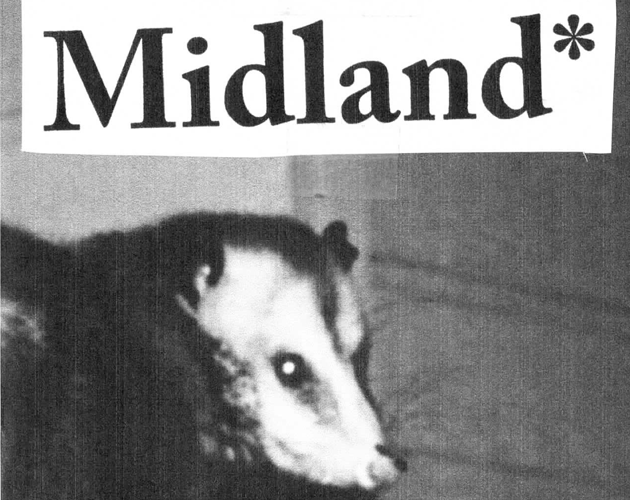 Cover image for Midland*