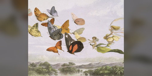 Cover image for Cento incontri nel Reame delle Fate