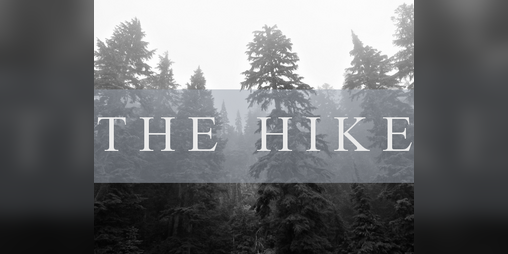 Cover image for The Hike