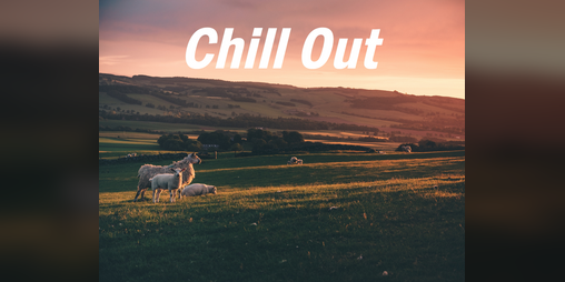 Cover image for Chill Out