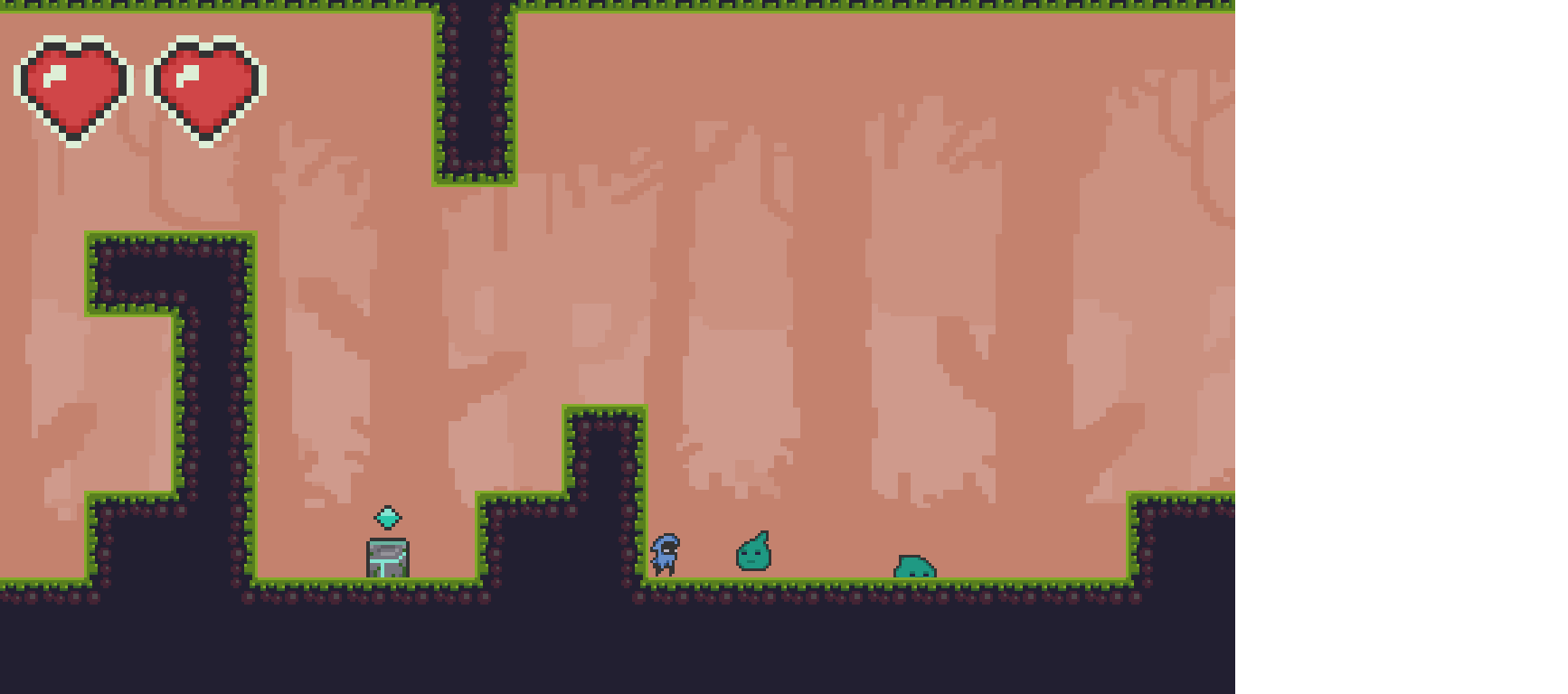 Shadow Woods