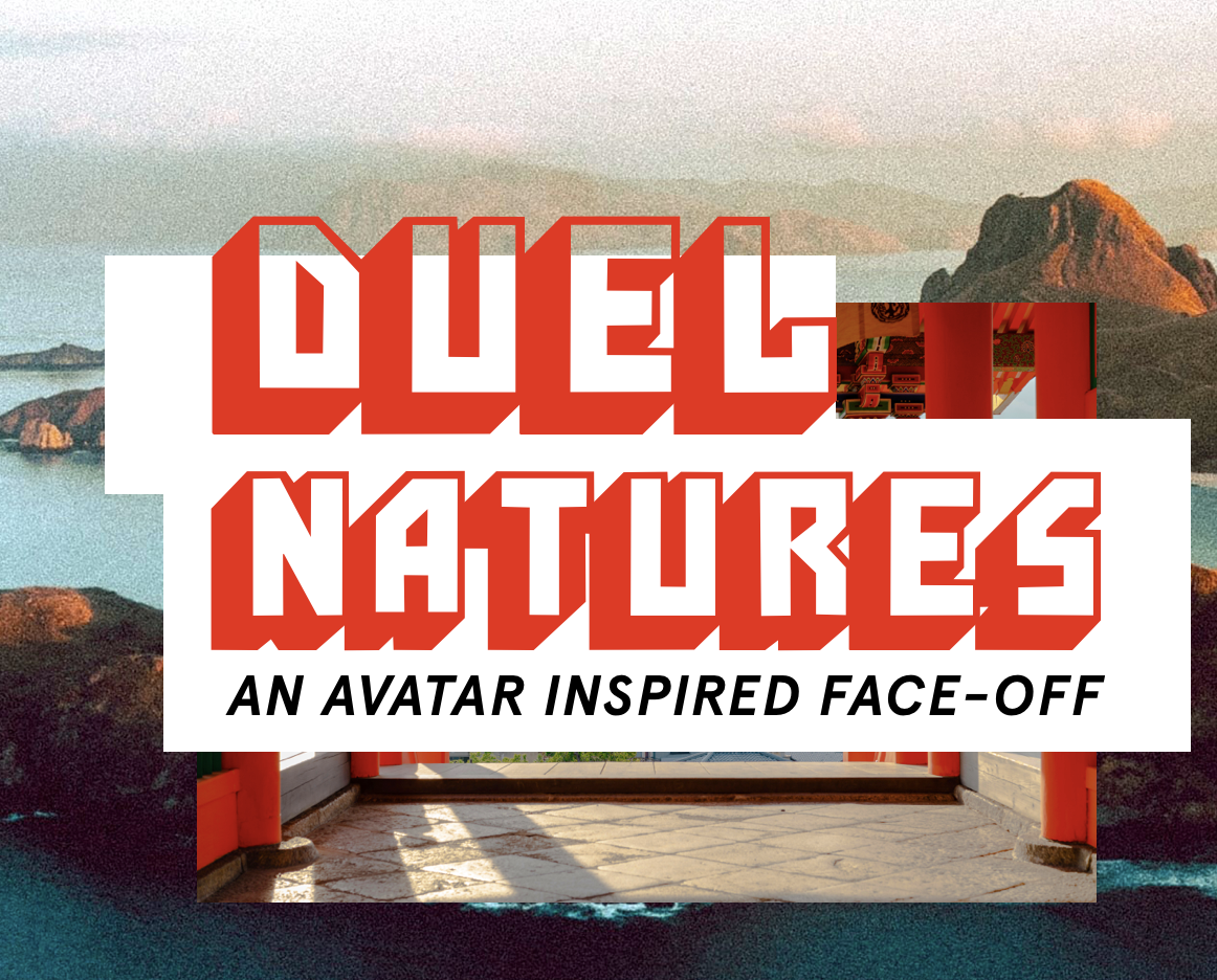 Cover image for DUEL NATURES