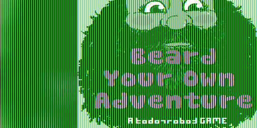 Cover image for Beard Your Own Adventure