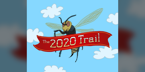 Cover image for The 2020 Trail