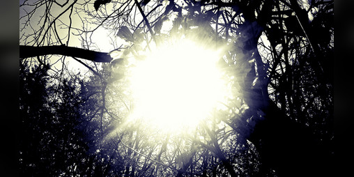 Cover image for ARCANE