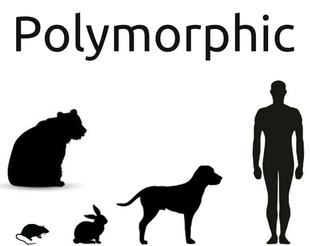 Polymorphic Creatures Polymorphic (Jam Version) by BeanieBagGames for Burnout Jam - itch.io