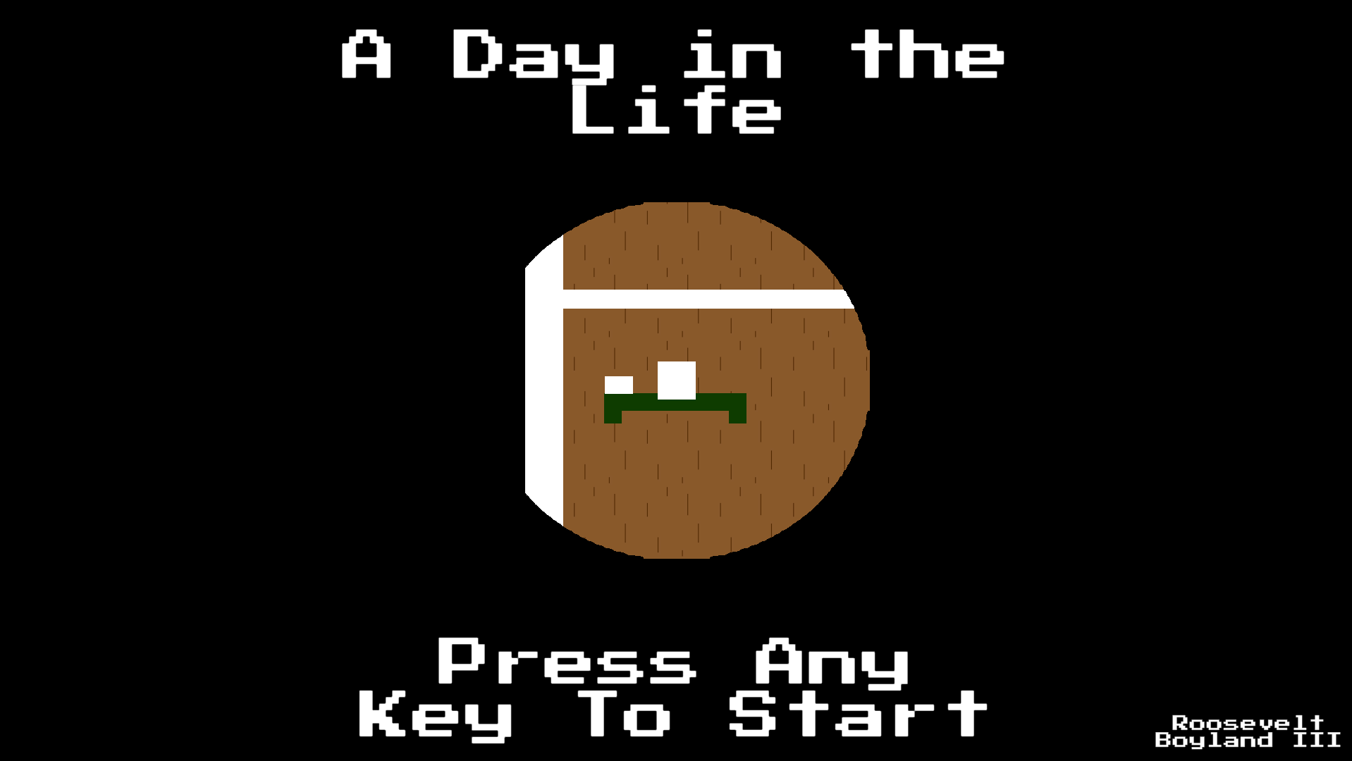 Cover image for A Day in the Life