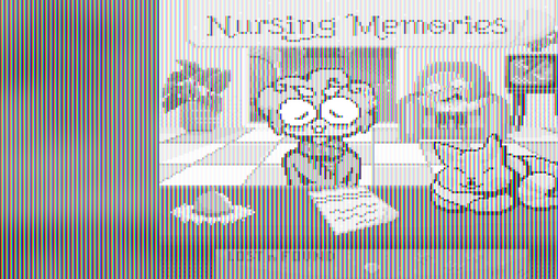 Cover image for Nursing Memories
