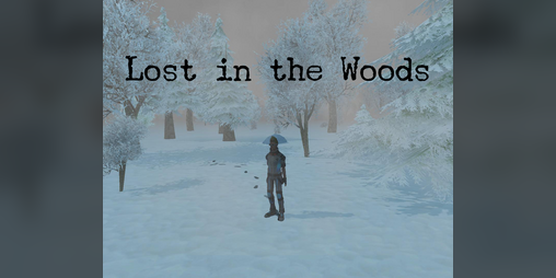 Cover image for Lost in the Woods