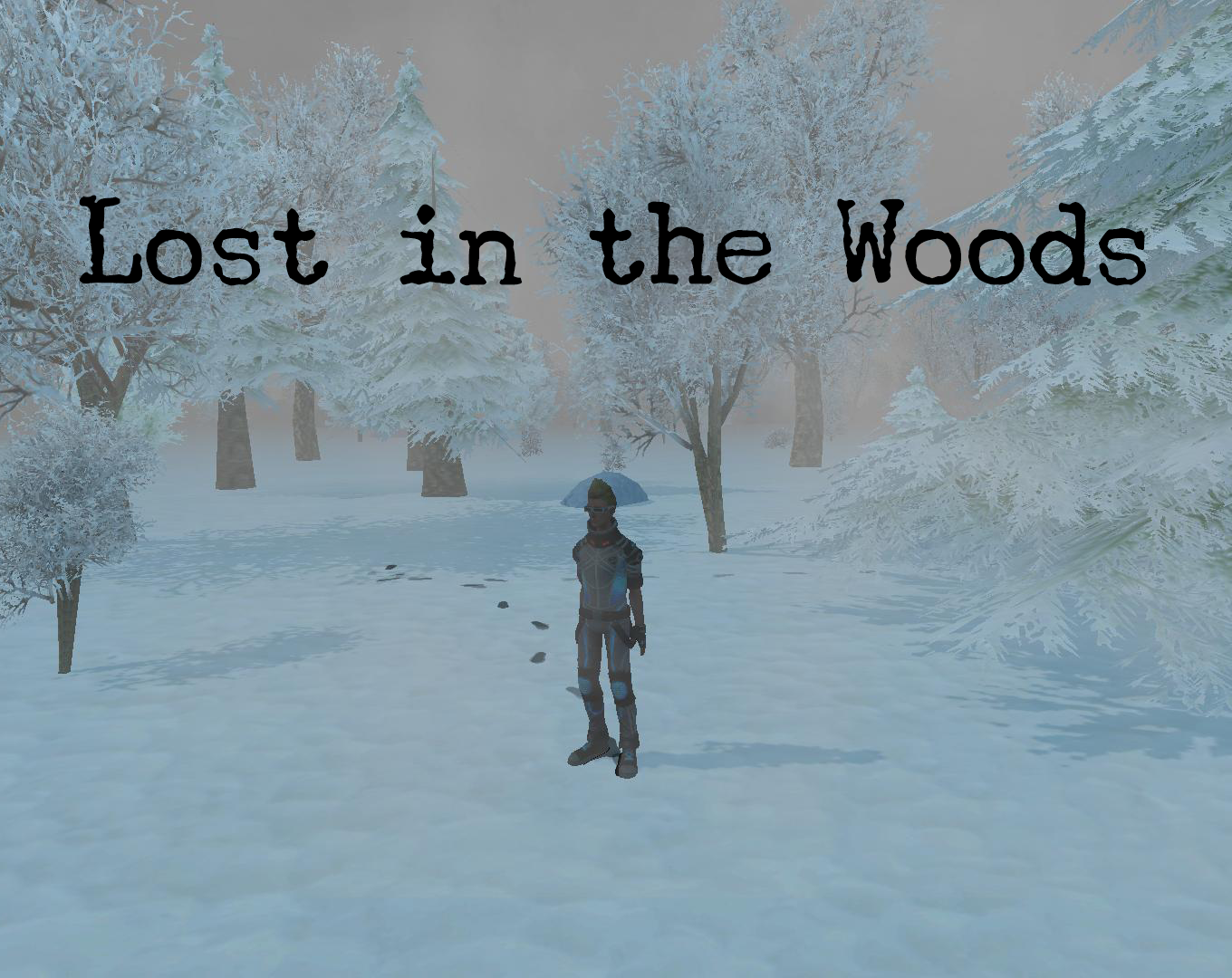 Cover image for Lost in the Woods