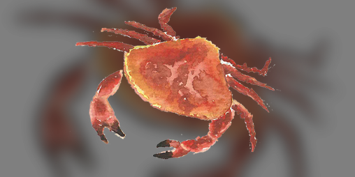 Cover image for Aquarium