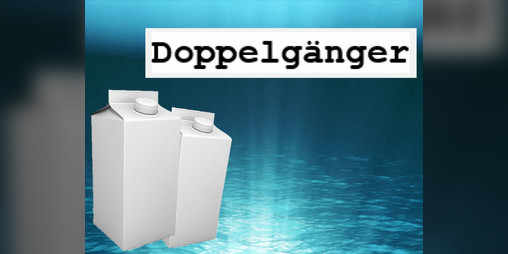 Cover image for Doppelganger
