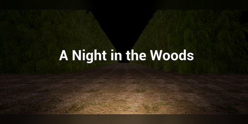 Cover image for A Night in the Woods
