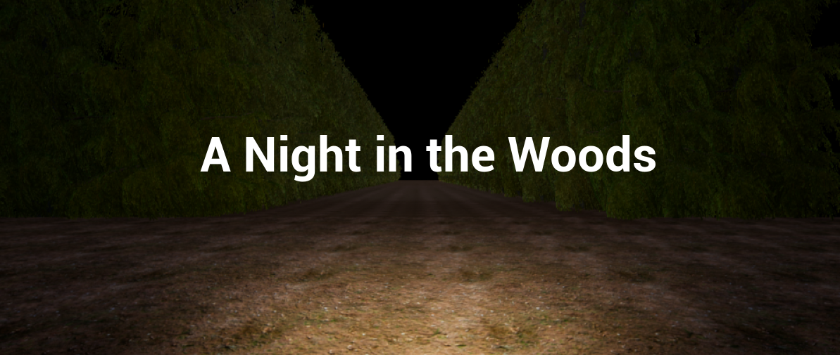 A Night in the Woods