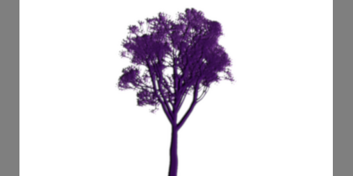 Cover image for The Locrian