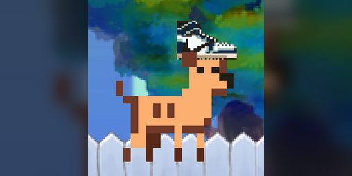 Cover image for DogShoe