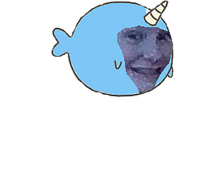 Gamer_narwhal52 Run
