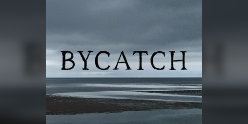 Cover image for Bycatch