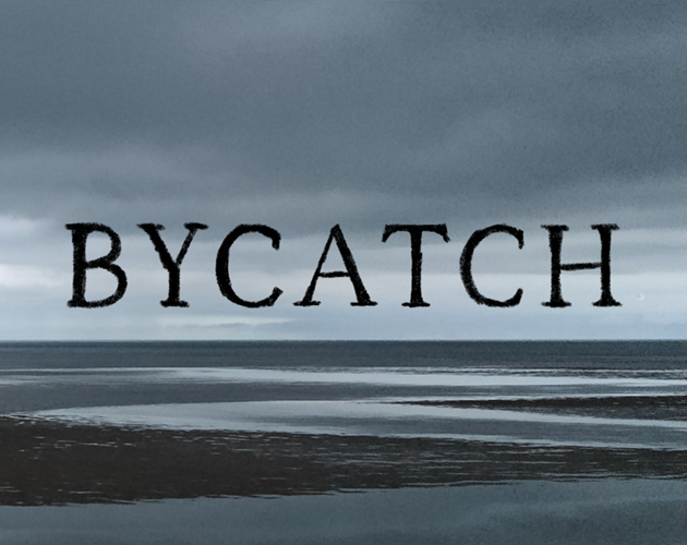 Cover image for Bycatch