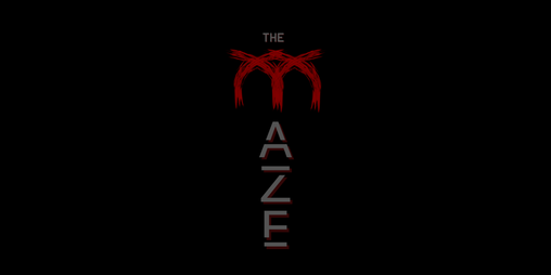 Cover image for The Maze