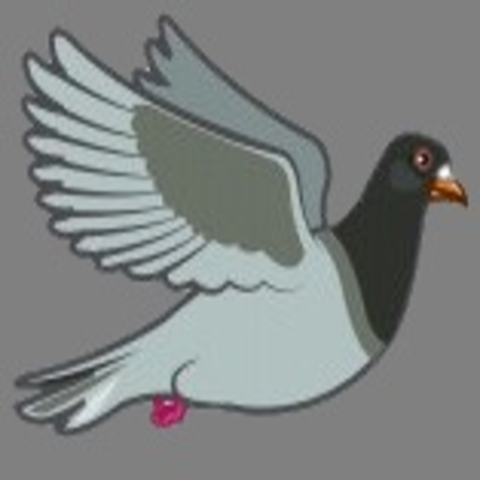 Cover image for You're a pigeon!