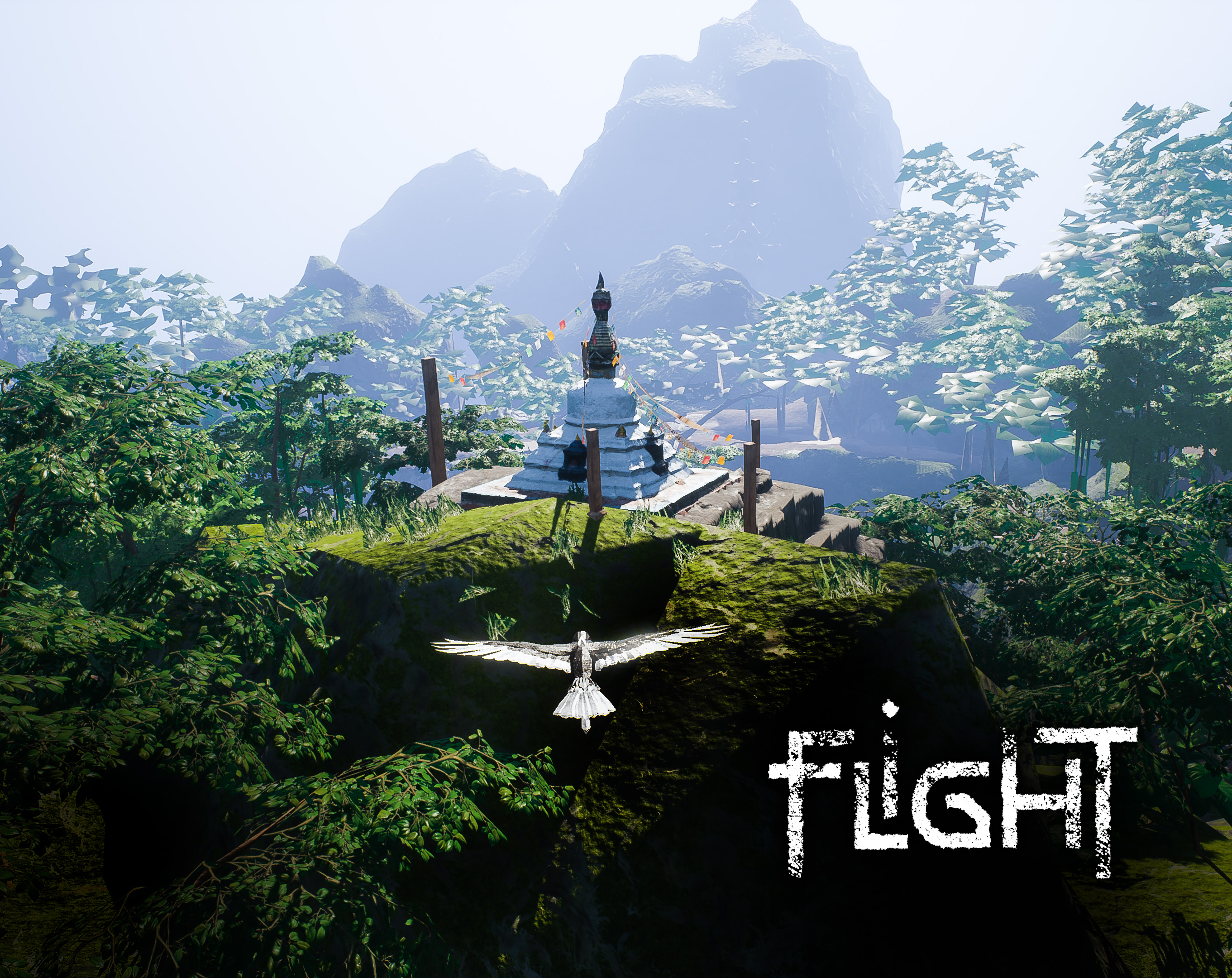 Flight