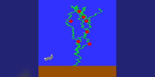 Cover image for Tomato Farm