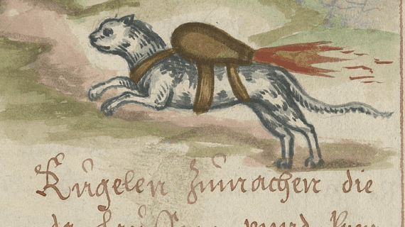 Medieval Cat Simulator